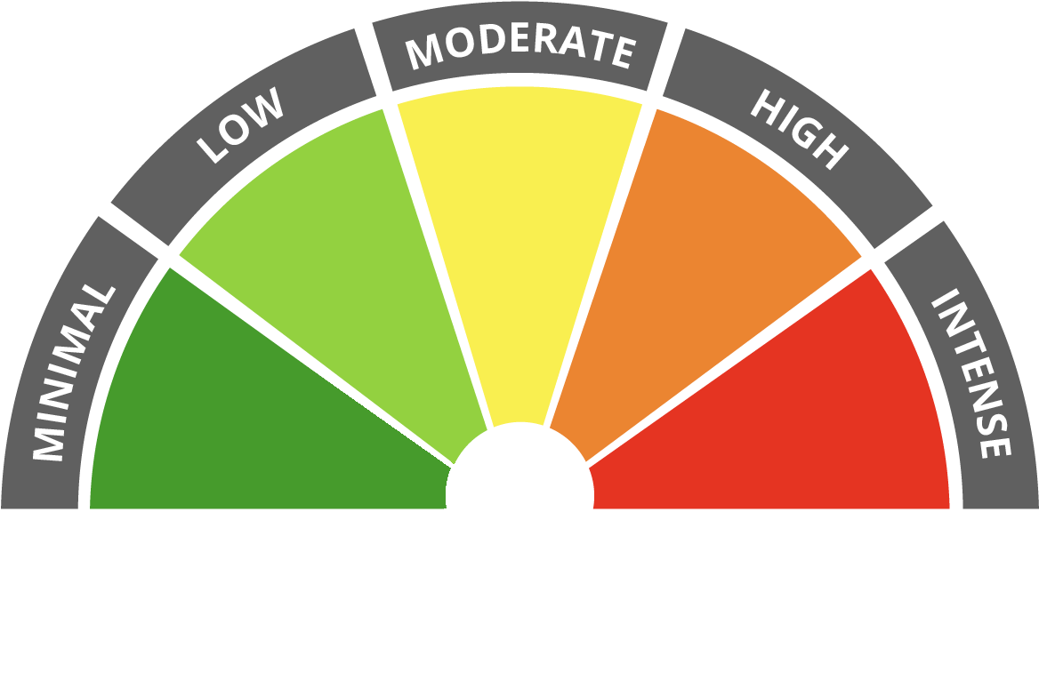 risk meter